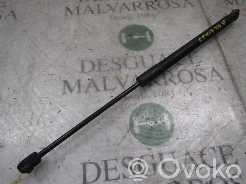 Renault Clio III Ammortizzatore portellone posteriore/bagagliaio
