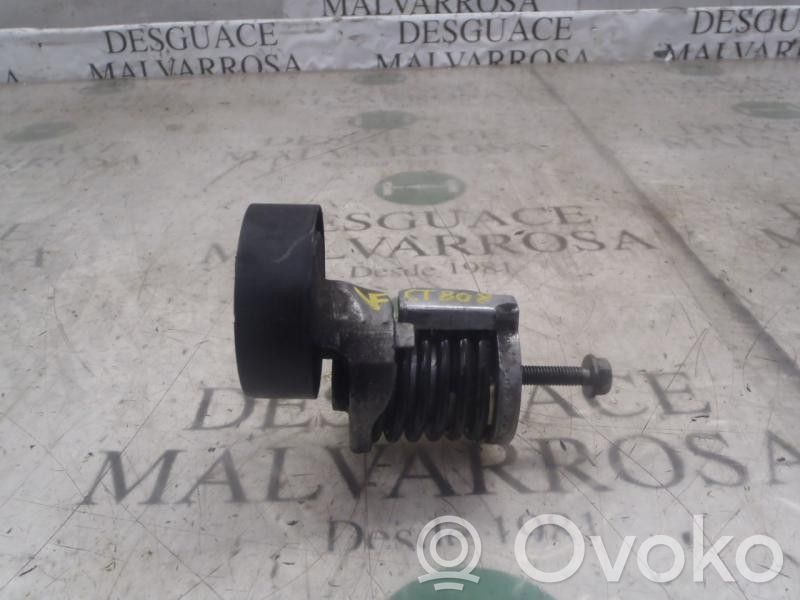 Skoda Fabia Mk2 (5J) Napinacz paska alternatora