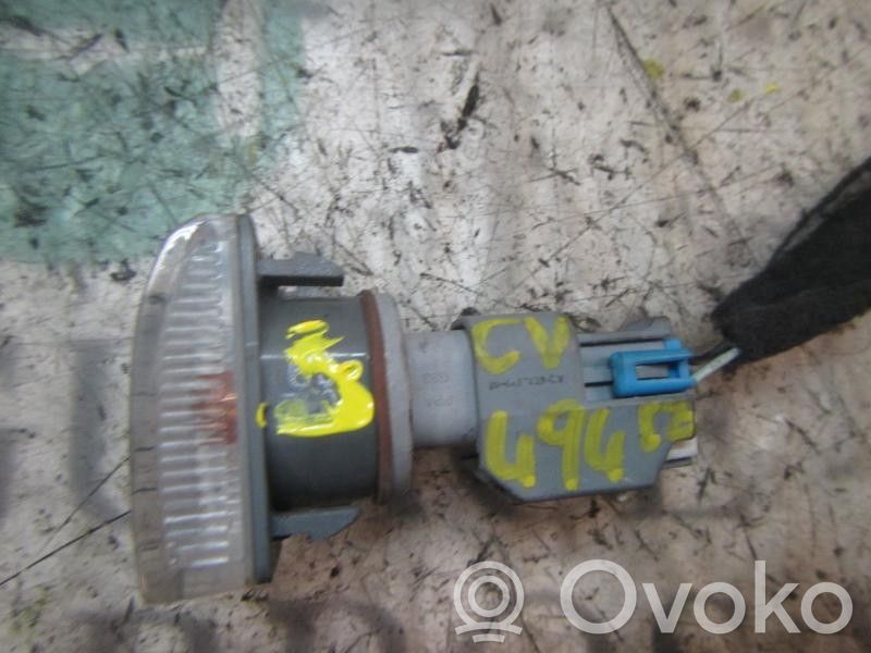 Opel Antara Seitenblinker 