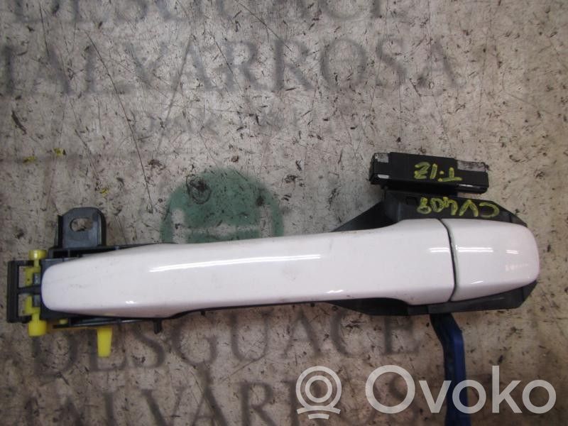 Manecilla externa puerta trasera   6921105918