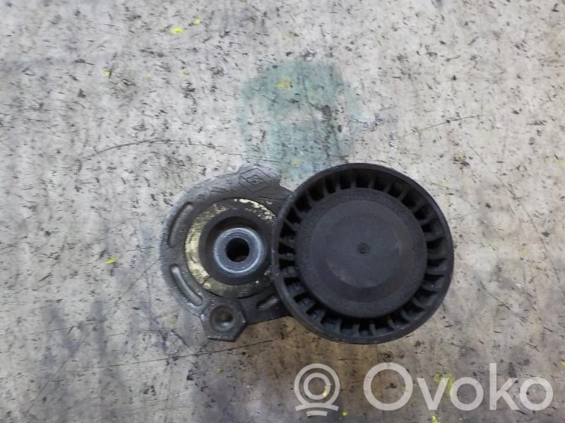 Renault Clio III Tendicinghia generatore/alternatore