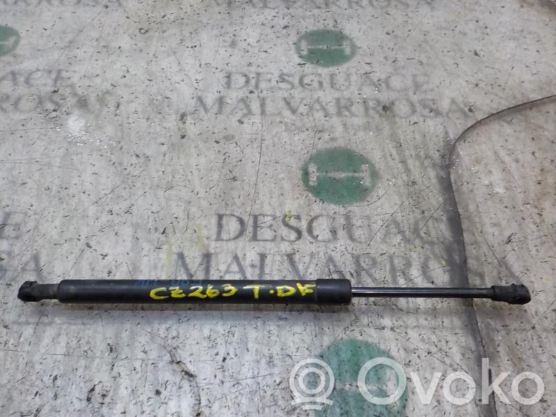 Tailgate/trunk strut/damper   51247250308