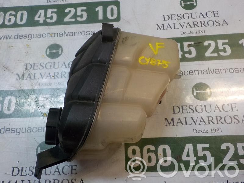 Ford Mondeo MK IV Vas expansiune combustibil 