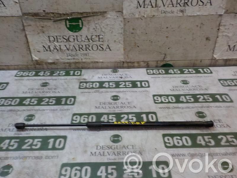 Seat Leon (5F) Ammortizzatore portellone posteriore/bagagliaio
