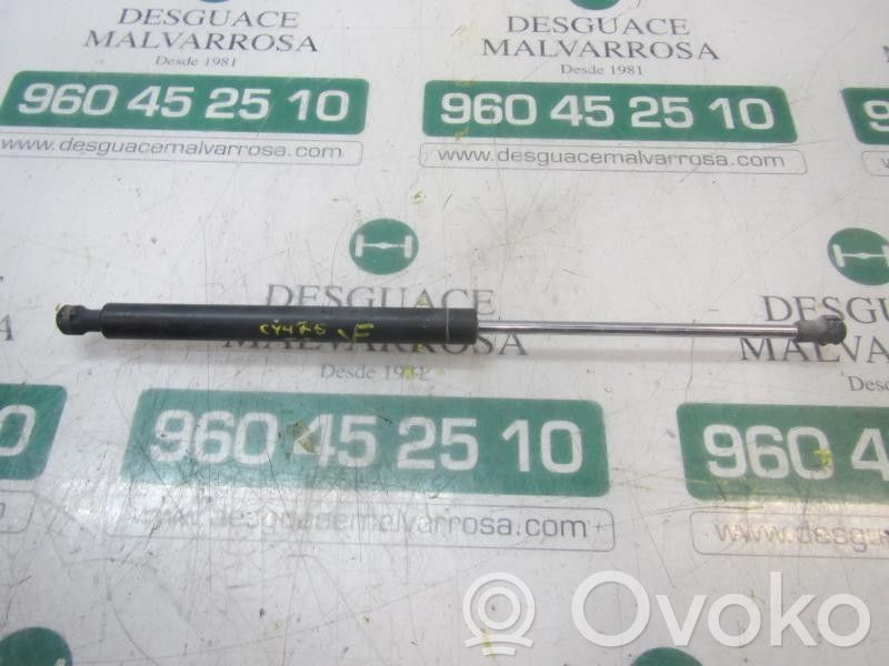 Skoda Roomster (5J) Amortizor hayon 
