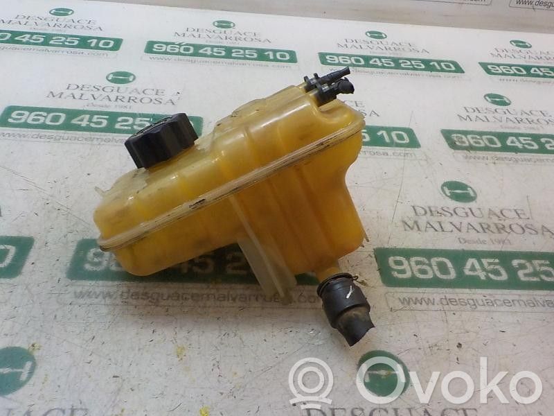 Peugeot 407 Vaso di espansione carburante 
