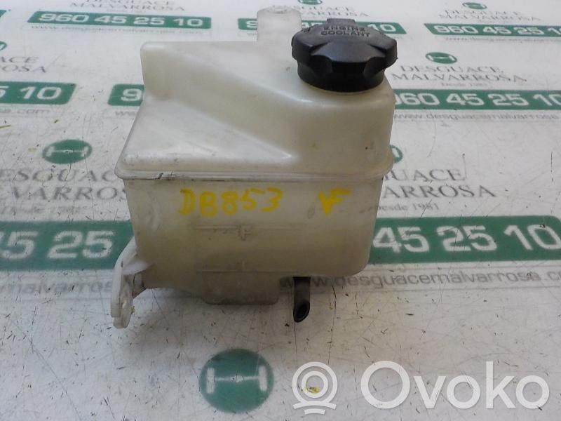 Hyundai ix20 Vaso di espansione carburante