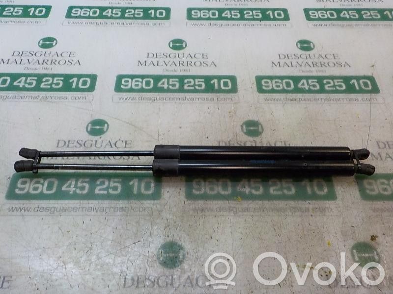 Tailgate/trunk strut/damper   1682845