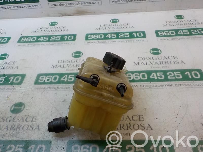 Peugeot 407 Vaso di espansione carburante 