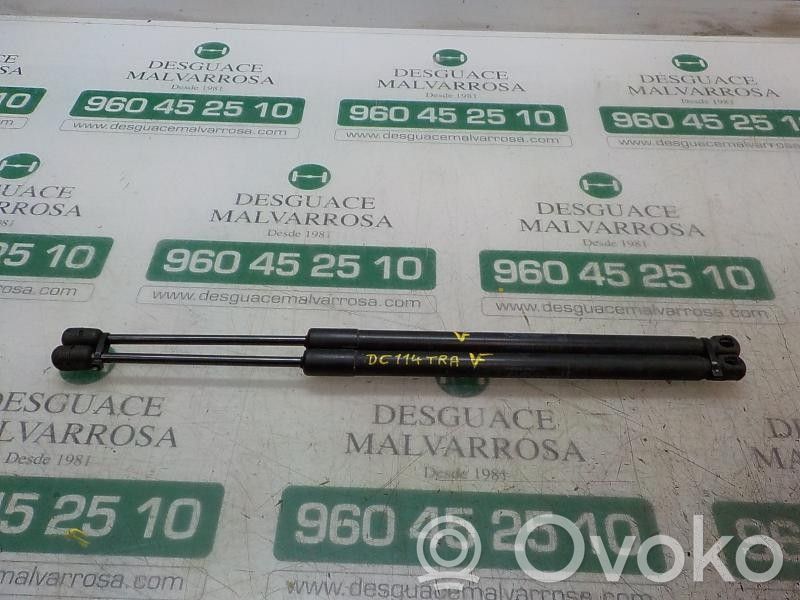 Opel Insignia A Ammortizzatore portellone posteriore/bagagliaio