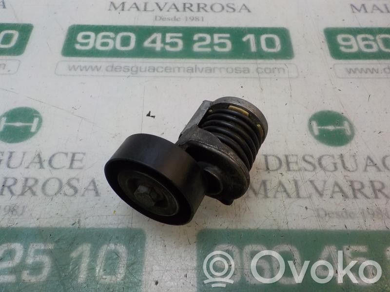 Volkswagen Golf SportWagen Întinzător curea generator/alternator 