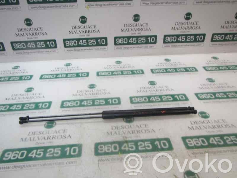 Nissan Juke I F15 Ammortizzatore portellone posteriore/bagagliaio 
