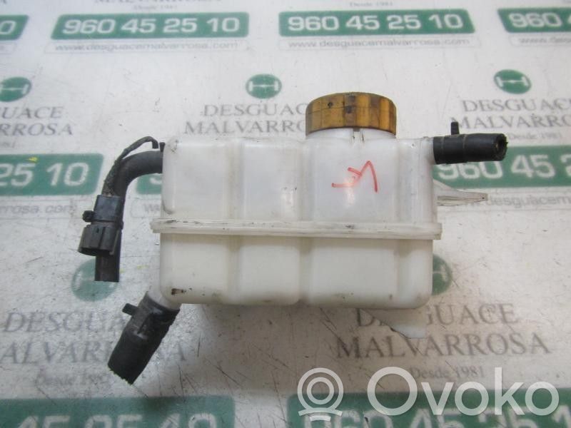 Chevrolet Aveo Vas expansiune combustibil 