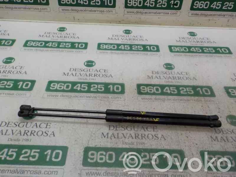 Audi A3 S3 8P Ammortizzatore portellone posteriore/bagagliaio 