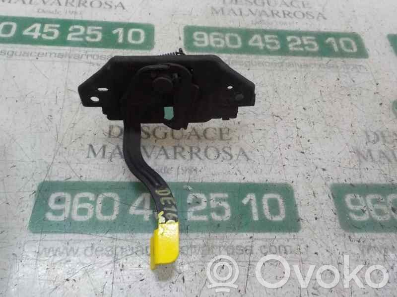 Tie down hook / loop   5159558