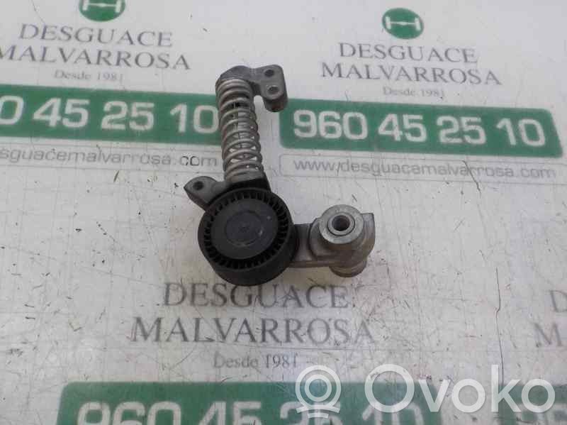 Tendicinghia generatore/alternatore   31339945