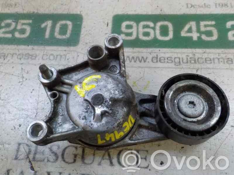 Citroen DS3 Tendicinghia generatore/alternatore 