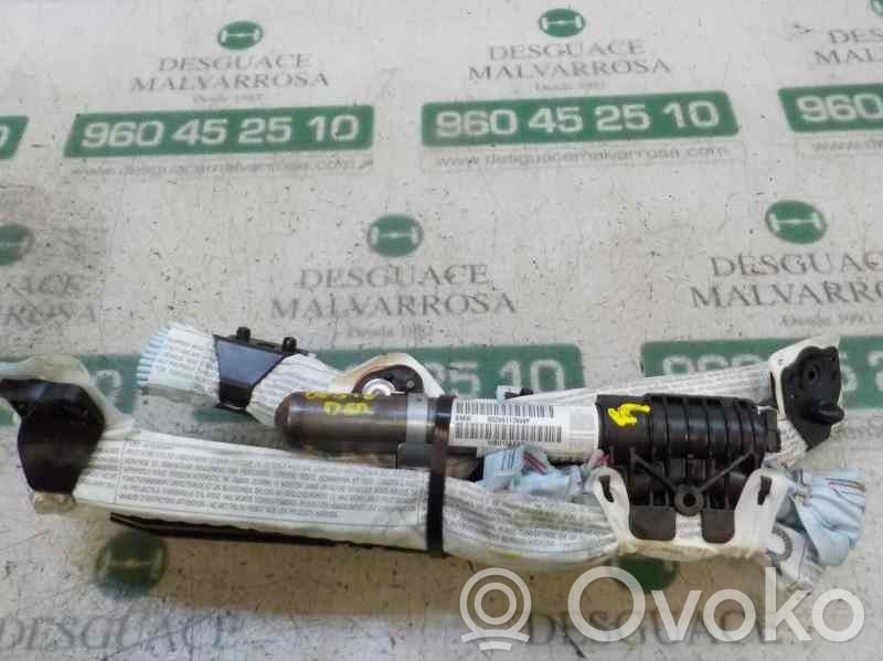 BMW X1 E84 Airbag de la puerta delantera 