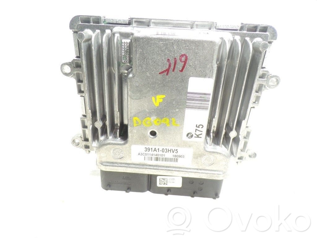 Hyundai Ioniq Engine control unit/module 
