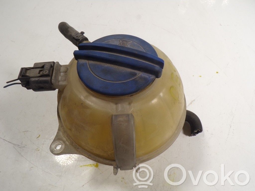 Seat Ibiza IV (6J,6P) Vaso di espansione carburante