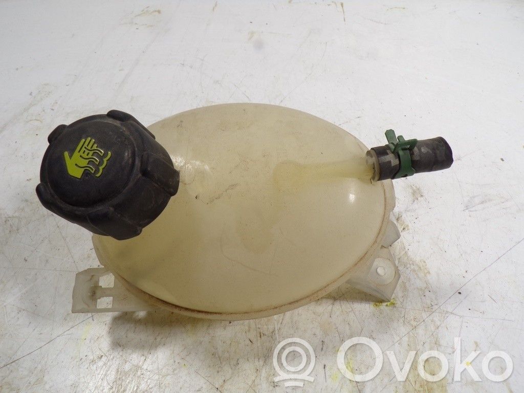 Renault Clio IV Vaso di espansione carburante