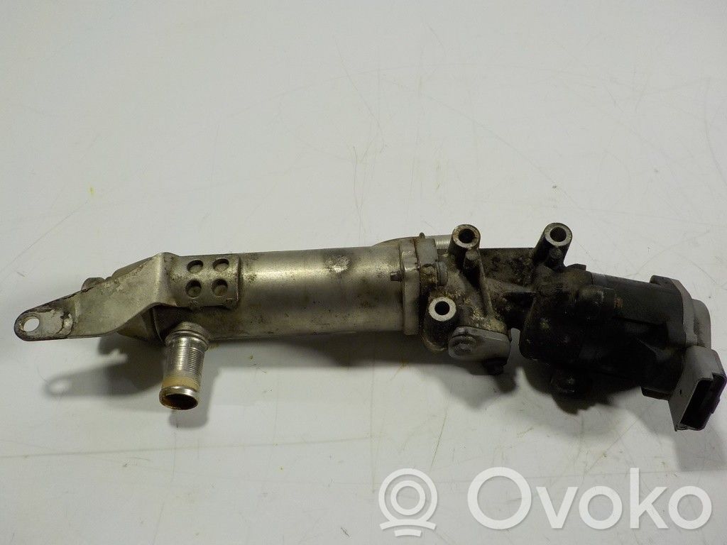 Land Rover Range Rover Sport L320 Supapă EGR 