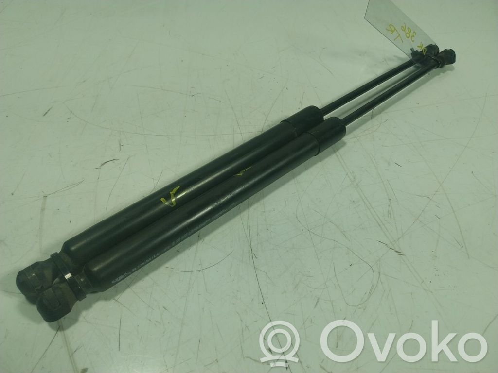 Tailgate/trunk strut/damper   904502915R