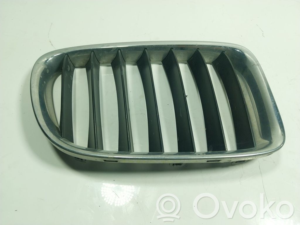 Front grill   51117347667