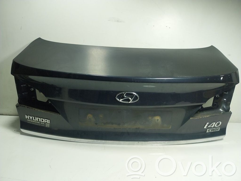 Puerta de carga trasera/atrás   692003Z310