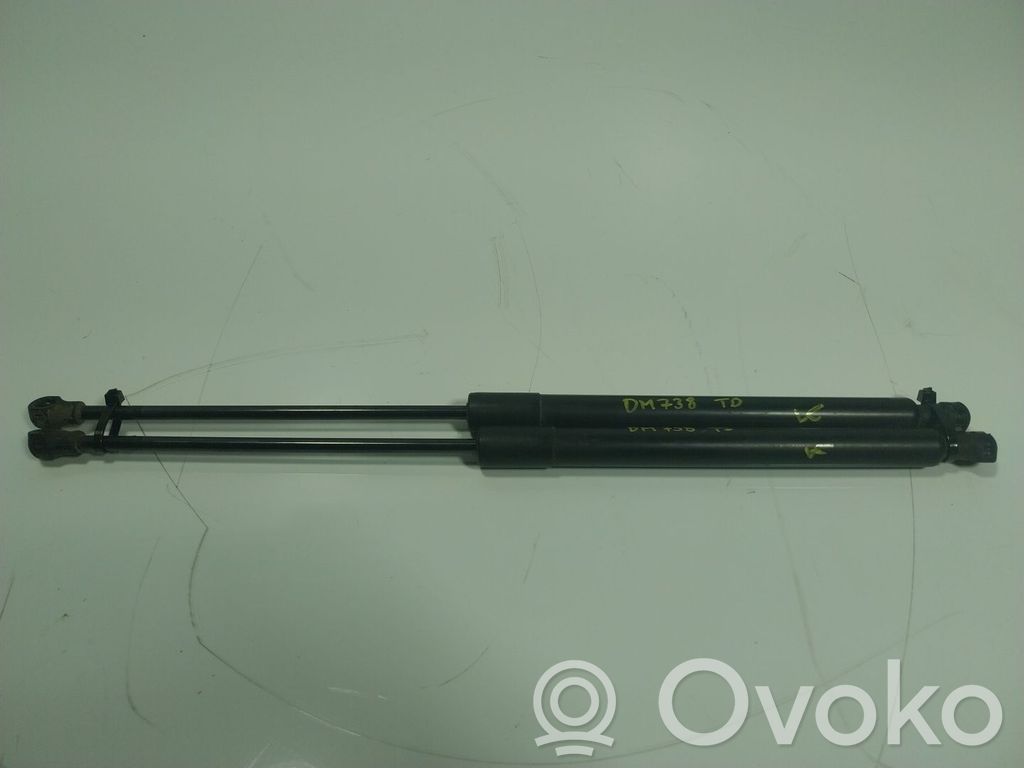 Citroen C3 Amortizor hayon 