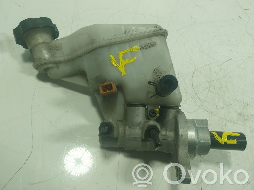 Servofreno   58510A5200