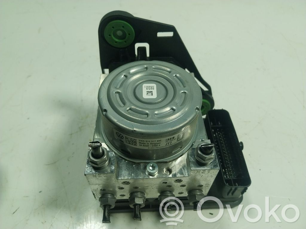 ABS bloks   5WA614517BMBEF,5WA614517BM