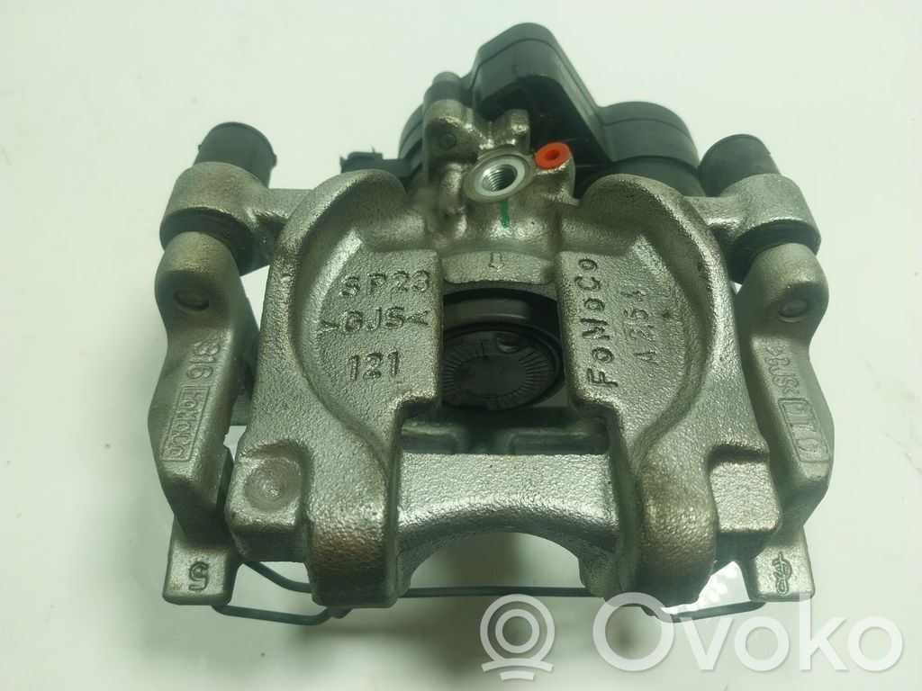 Takajarrusatula   2439124,GV612D251B