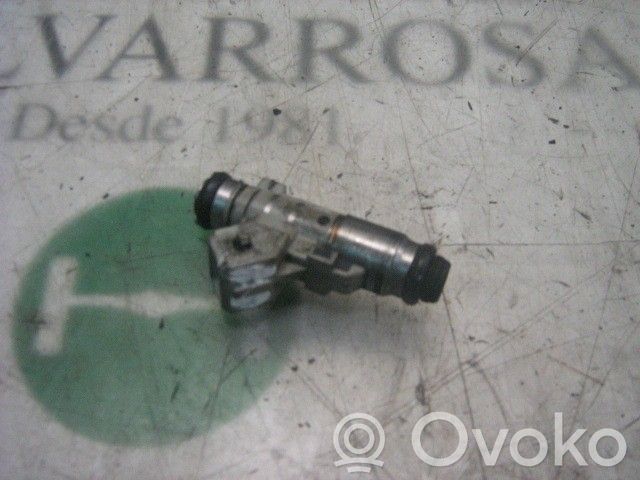 Injector combustibil