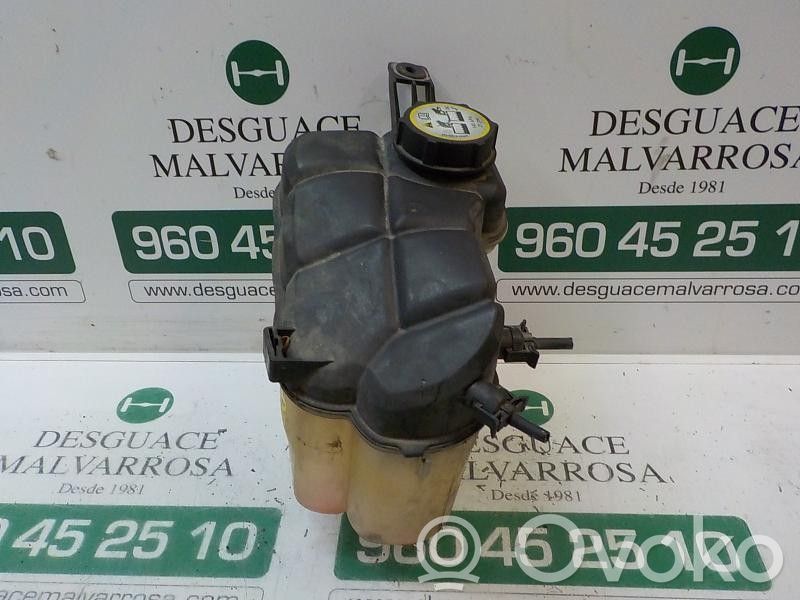 Ford Mondeo MK IV Vas expansiune combustibil 