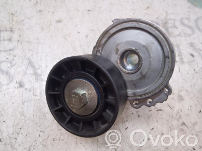 Peugeot 607 Întinzător curea generator/alternator 