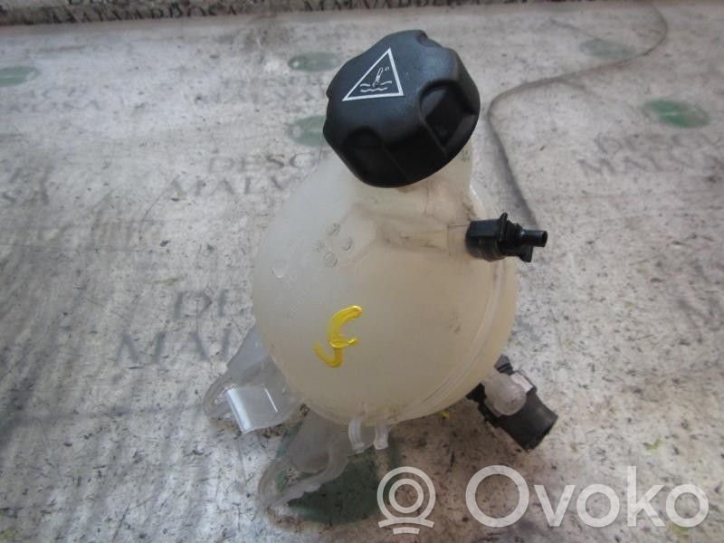 Citroen C3 Vas expansiune combustibil