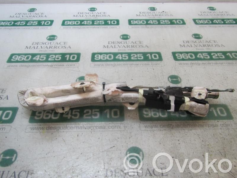 Seat Exeo (3R) Airbag de la puerta delantera 