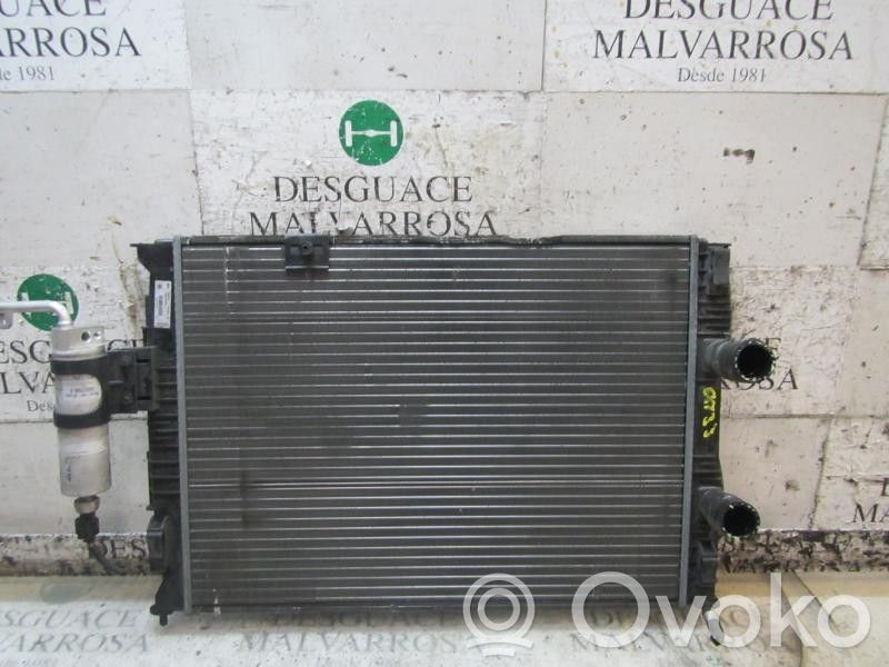 Nissan Qashqai Radiator lichid răcire 