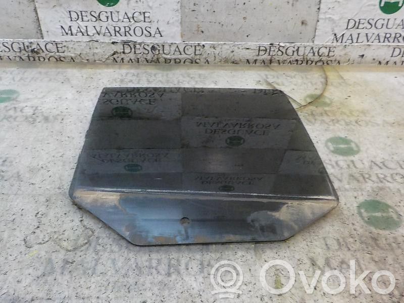 Luna de la puerta trasera