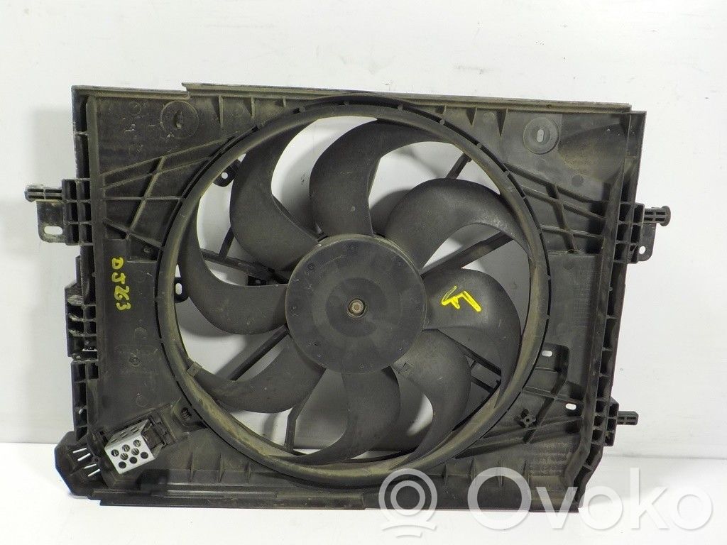 Elektrolüfter   214818009R,214818009R