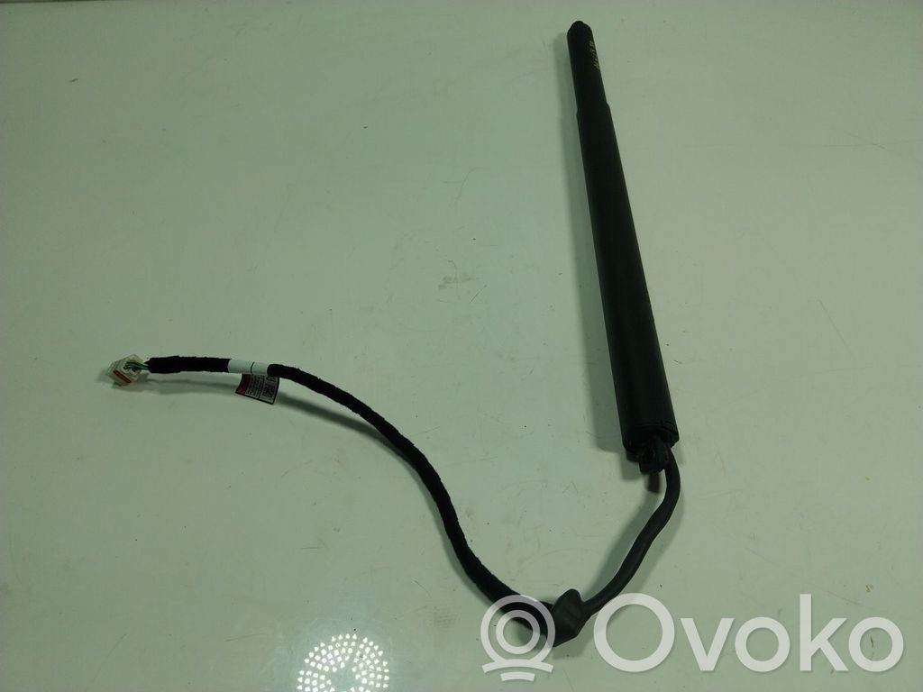 Tailgate/trunk strut/damper   670033247