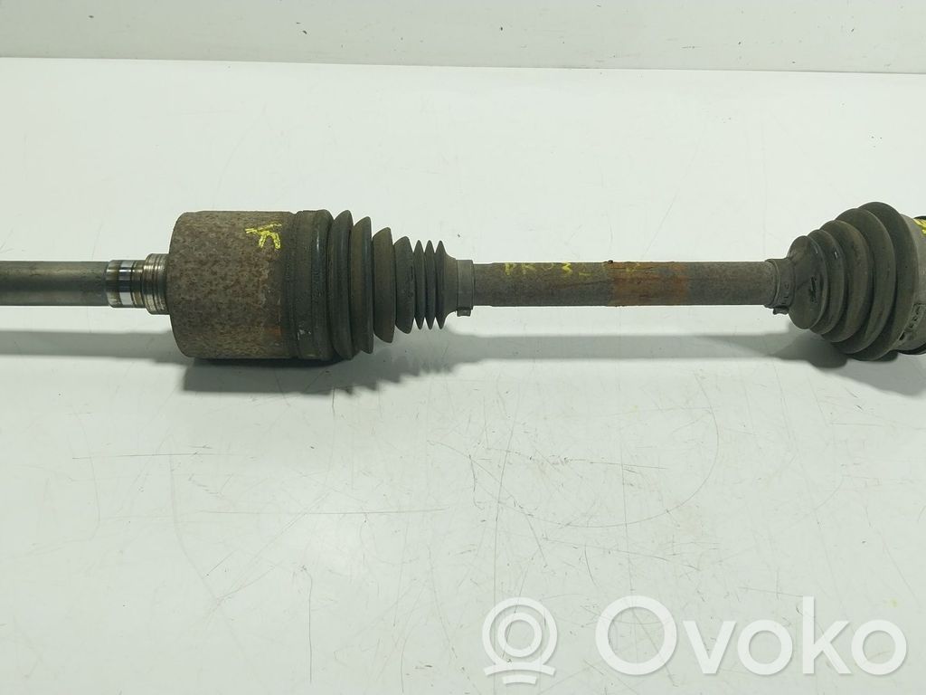 Planetară spate   TOB500280