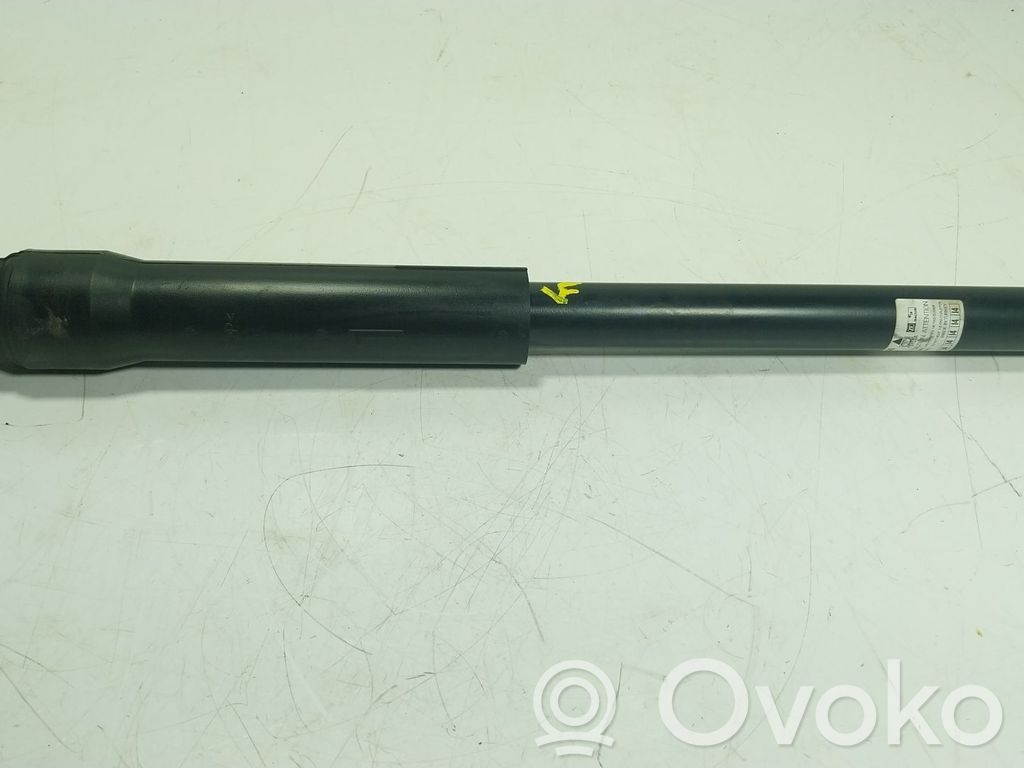 Stoßdämpfer hinten   485300DK20,485300DK20