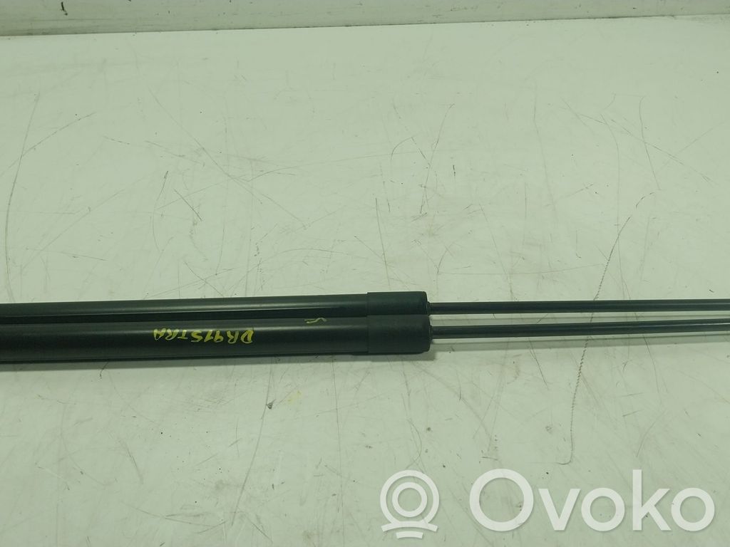 Tailgate/trunk strut/damper   904528093R