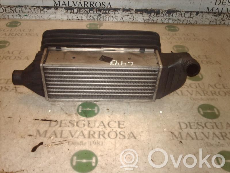 Radiator intercooler