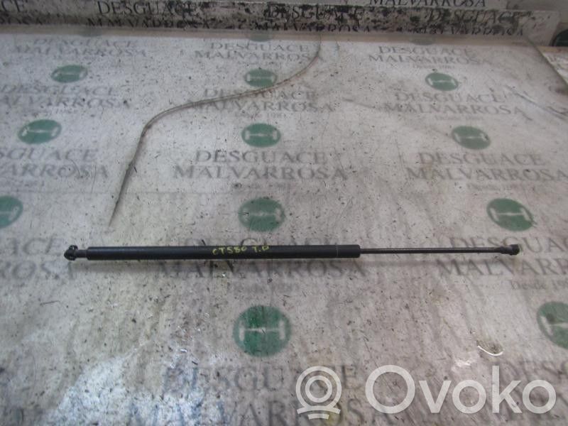 BMW X3 E83 Ammortizzatore portellone posteriore/bagagliaio