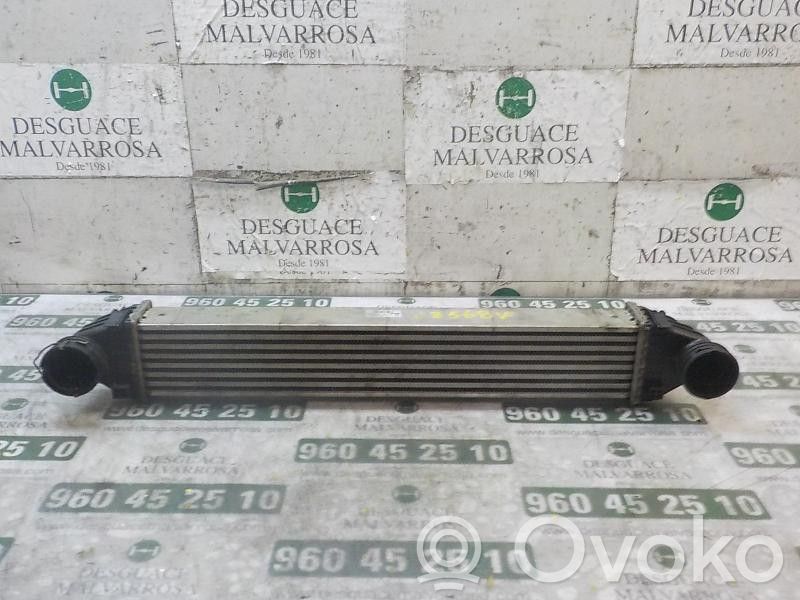 Mercedes-Benz B W245 Radiatore intercooler 