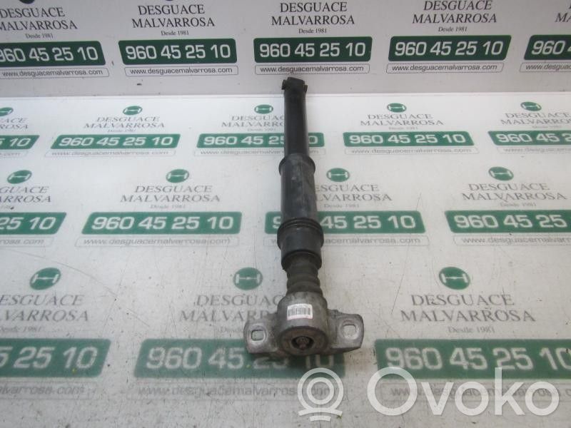 Citroen C4 Grand Picasso Ammortizzatore posteriore 