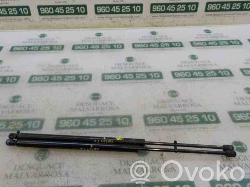 Land Rover Range Rover Sport L320 Ammortizzatore portellone posteriore/bagagliaio 